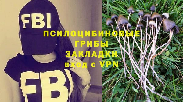 mdpv Алексин